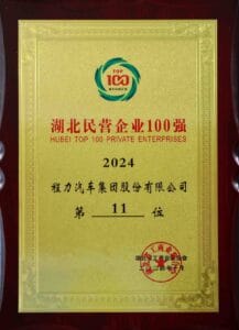 Hubei Top 100 Private Enterprises 2024